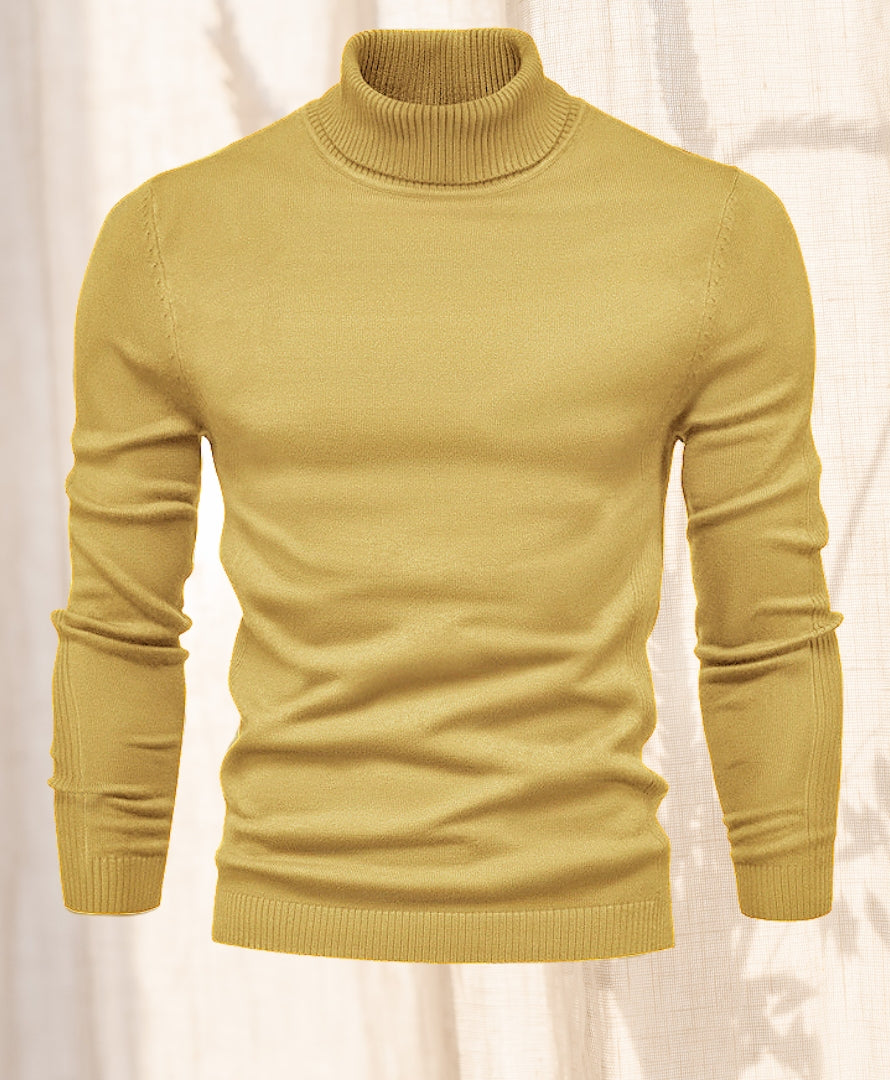 Hudson Chill | Turtle neck Sweater