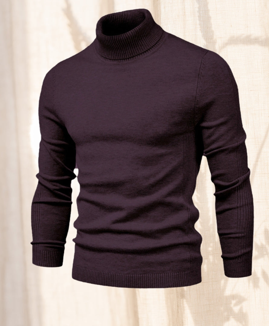 Hudson Chill |  Turtle neck Sweater