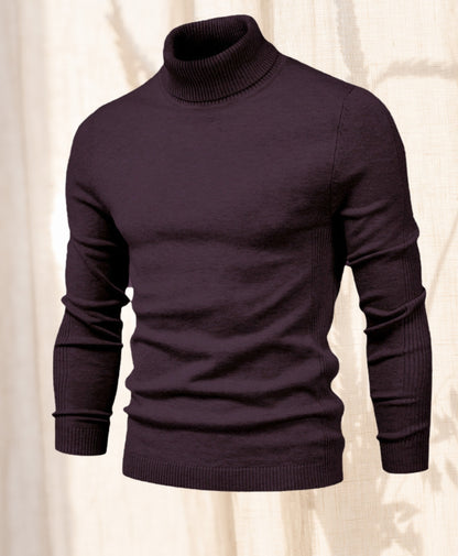 Hudson Chill |  Turtle neck Sweater