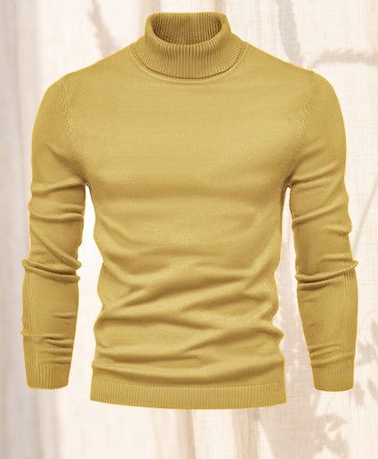 Hudson Chill |  Turtle neck Sweater